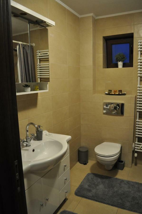 Sleep & Fly Apartment Otopeni Bagian luar foto